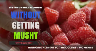 Freezing Raspberries Without Mush: Tips for Perfect Preservation