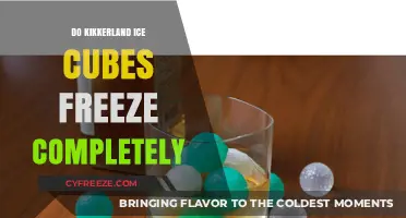 Chill Factor: The Complete Freeze on Kikkerland Ice Cubes