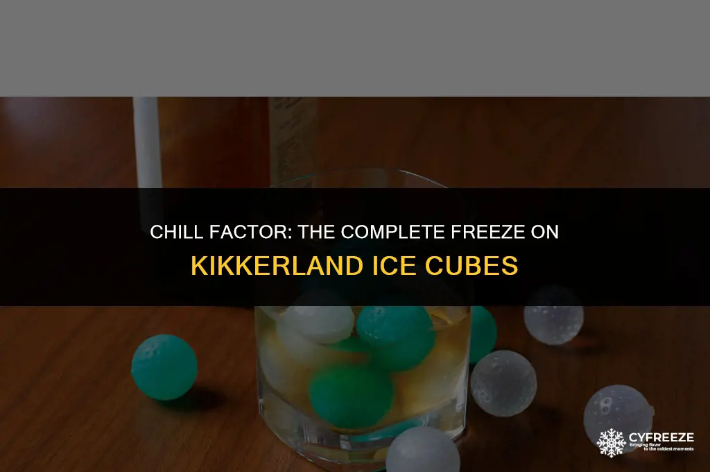 do kikkerland ice cubes freeze completely