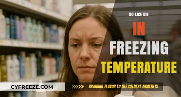 Can Freezing Temperatures Kill Lice? The Cold Truth Revealed