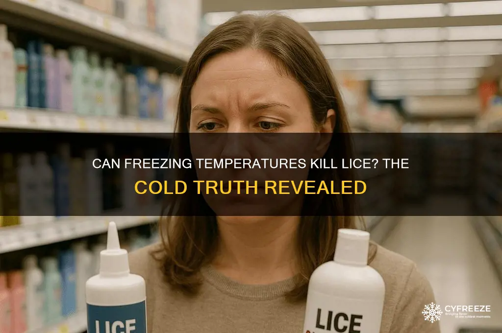 do lice die in freezing temperatures