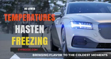 Does Cold Speed Up Freezing? Exploring Temperature's Impact on Ice Formation