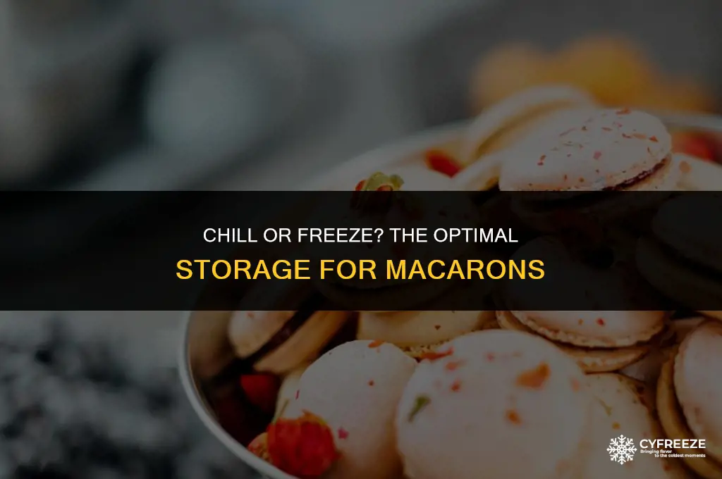 do macarons go in the fridge or freezer