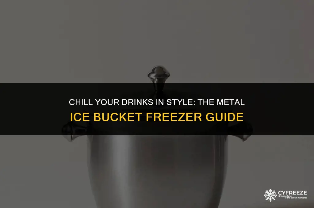 do metal ice buckets go in the freezer