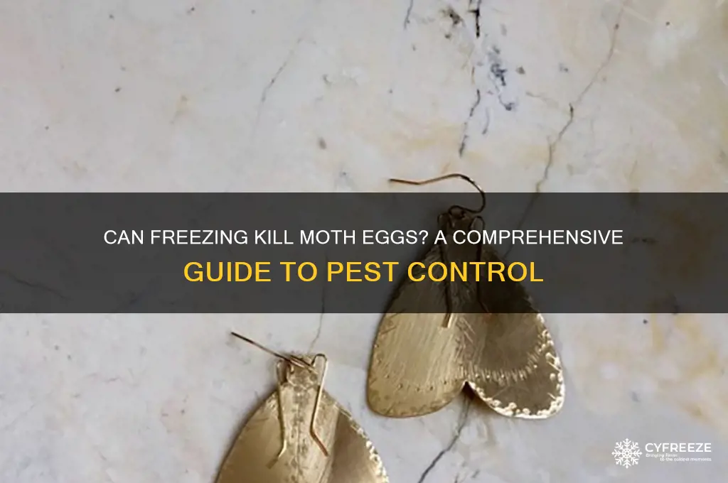 do moth eggs die in the freezer