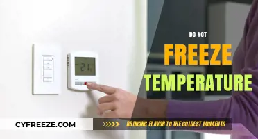 Avoid Freezing Temperatures: Essential Tips to Protect Your Home and Health