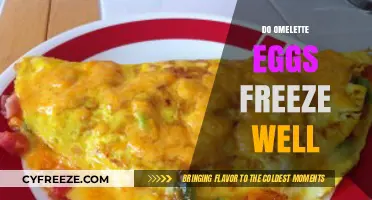 Can You Freeze Omelette Eggs? Tips for Perfect Storage