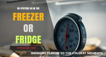 Chill or Freeze: The Optimal Storage for Fresh Oysters