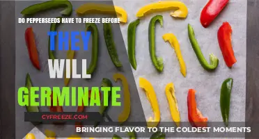 Unlocking Germination: The Surprising Truth About Pepper Seeds and Freezing