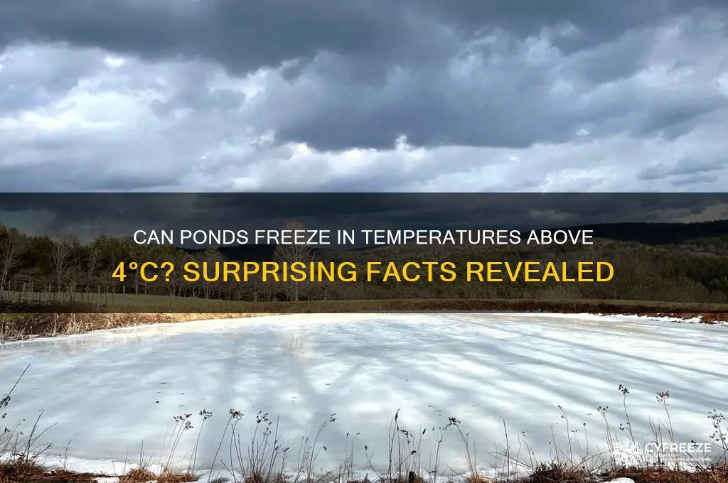 do ponds freeze when the temperature is above 4 c
