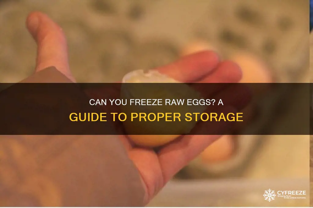 do raw eggs freeze well