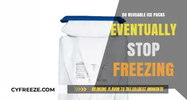 The Eternal Chill: Do Reusable Ice Packs Lose Their Freeze?