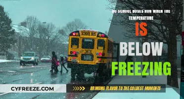 Do School Buses Operate in Freezing Temperatures? Essential Winter Info
