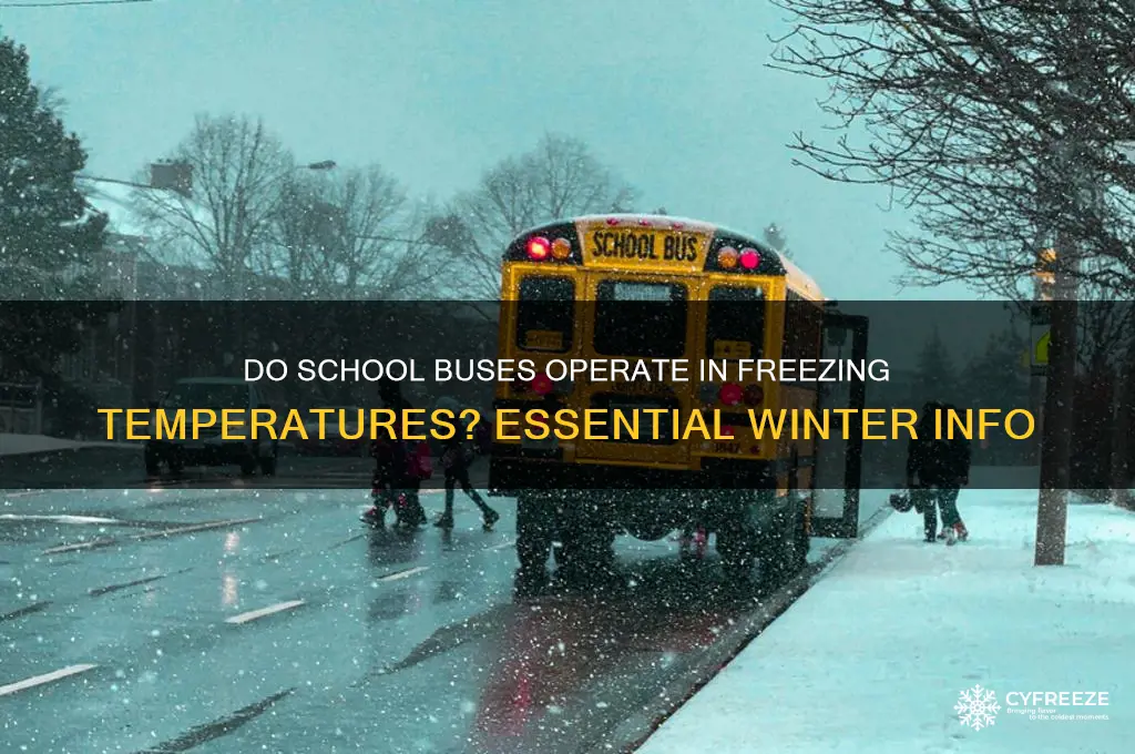 do school buses run when the temperature is below freezing