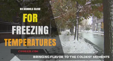 Freezing Temps and School Closures: What Parents Need to Know