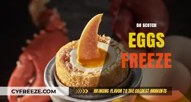 Can You Freeze Scotch Eggs? A Handy Storage Guide