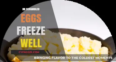 Can Scrambled Eggs Be Frozen? Tips for Storing and Reheating