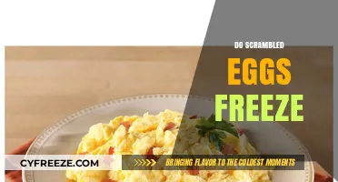 Can You Freeze Scrambled Eggs? Tips for Meal Prep Success