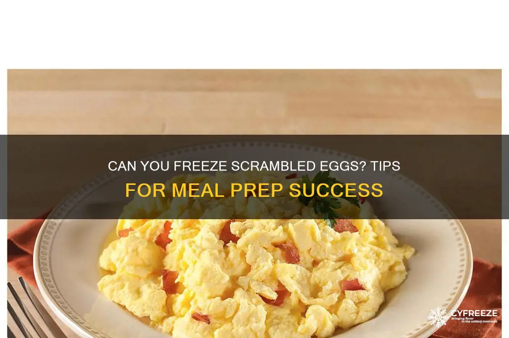 do scrambled eggs freeze