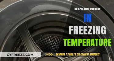 Do Speakers Warm Up in Freezing Temperatures? The Science Explained