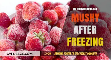Freezing Strawberries: Avoiding Mushy Texture and Preserving Freshness