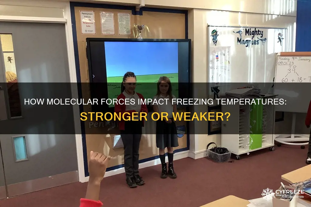 do stronger molecular forces increase or decrease freezing temperature
