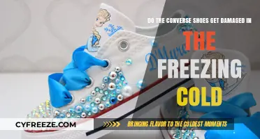 Can Converse Shoes Survive Freezing Cold Weather Without Damage?