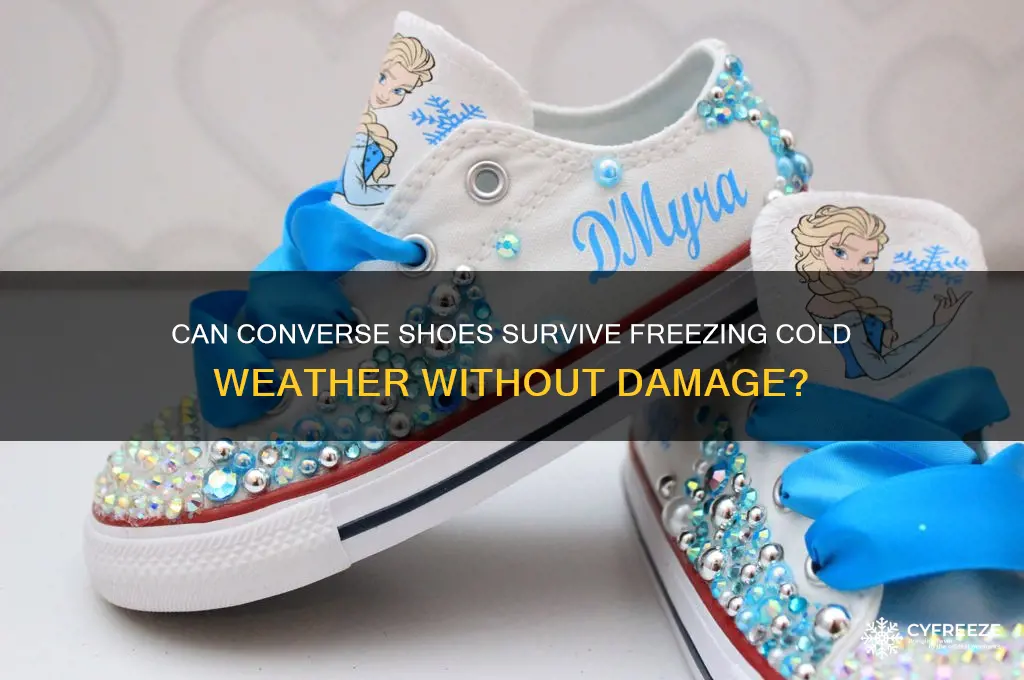 do the converse shoes get damaged in the freezing cold