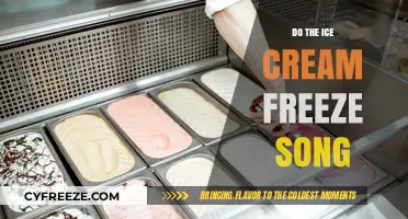 Sweet Melodies: The Chill of Ice Cream Freeze Song