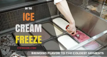 The Scoop on Ice Cream: Does It Really Freeze?