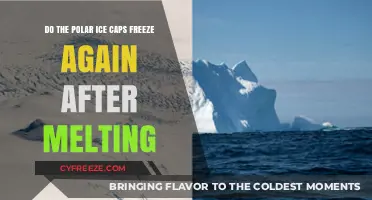 Can Polar Ice Caps Regenerate After Melting? Exploring the Science