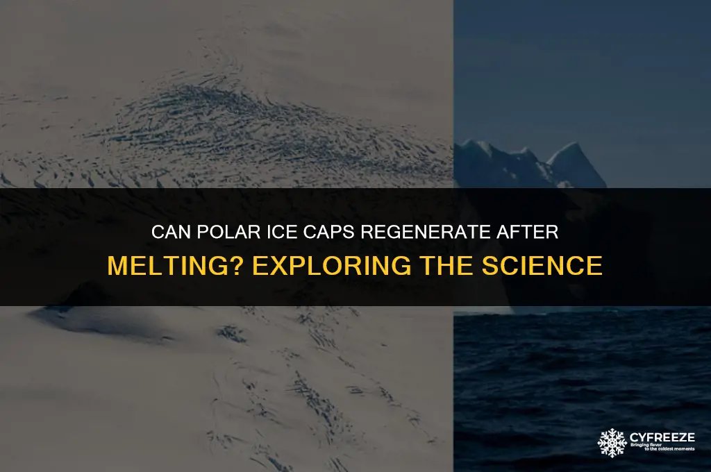 do the polar ice caps freeze again after melting