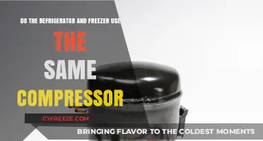 Refrigerator and Freezer Compressor: Shared or Separate Systems?