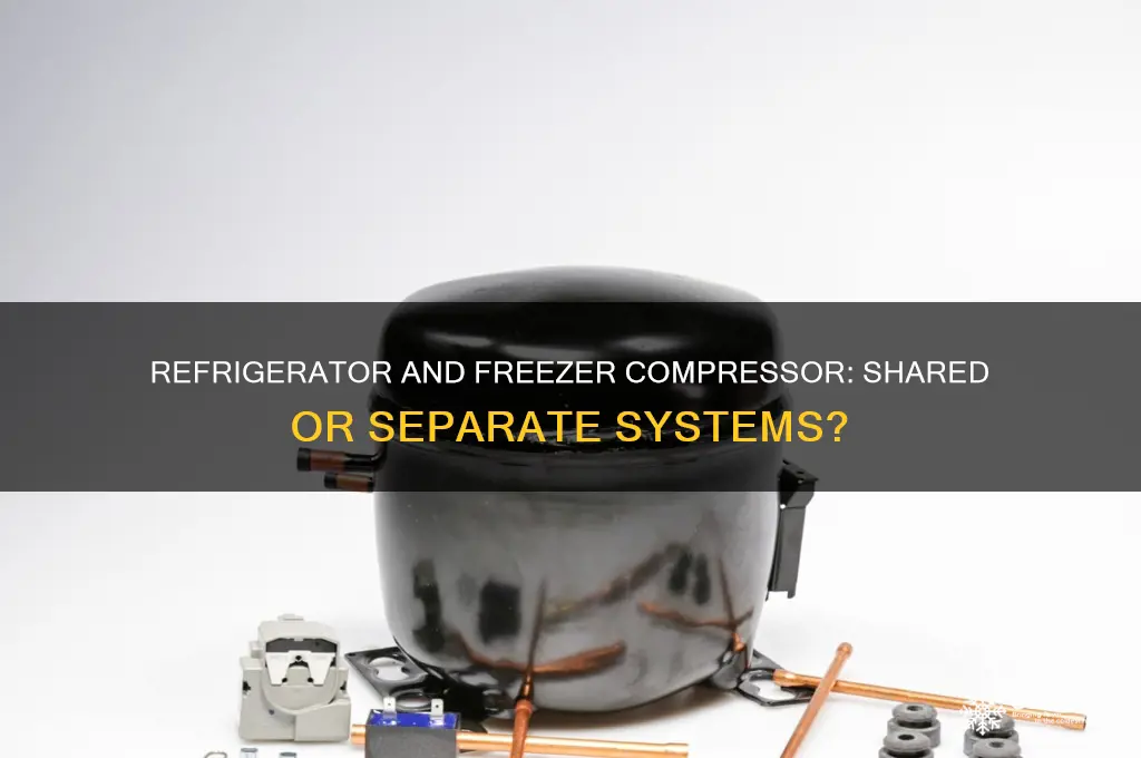 do the refrigerator and freezer use the same compressor