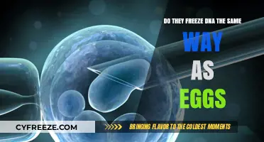 Freezing DNA vs. Eggs: Similarities, Differences, and Preservation Methods