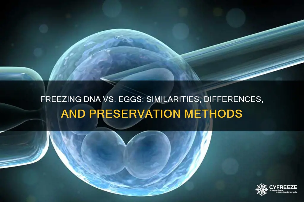 do they freeze dna the same way as eggs
