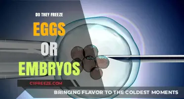 Freezing Eggs or Embryos: Which Fertility Preservation Option is Right for You?