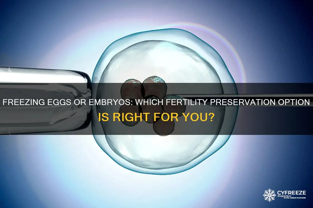 do they freeze eggs or embryos