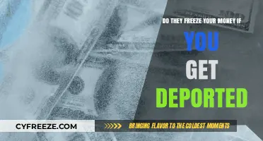Deported? What Happens to Your Money: Freezing Assets Explained