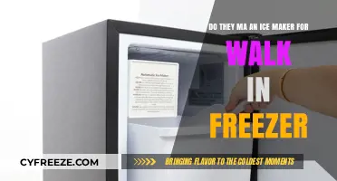 Chill Efficiency: Exploring Ice Makers for Walk-In Freezers