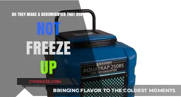 Preventing Freeze-Ups: The Quest for a Reliable Dehumidifier