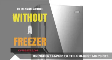 Exploring Options: Refrigerators Without Freezers in Modern Kitchens