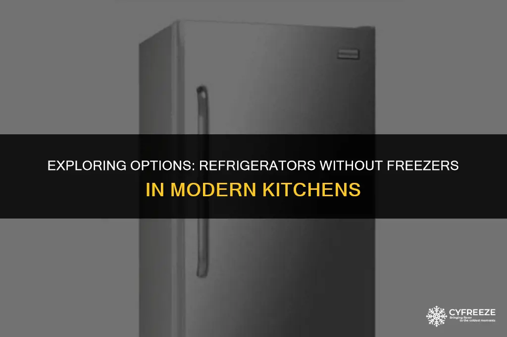 do they make a fridge without a freezer