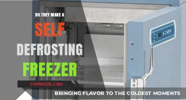 Exploring the Convenience: Do Self-Defrosting Freezers Exist?