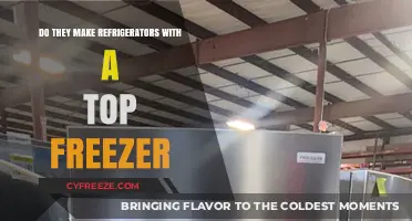 Exploring Refrigerator Designs: Top Freezer Models Still Exist?