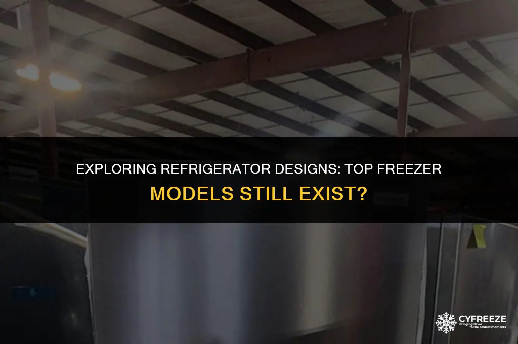 do they make refrigerators with a top freezer