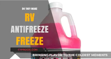RV Antifreeze: Does It Really Prevent Freezing in Cold Temps?