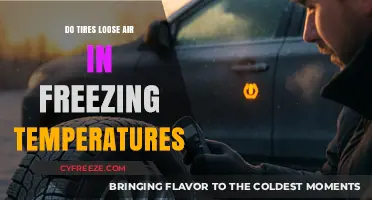 Do Tires Lose Air in Freezing Temperatures? Winter Tire Care Explained