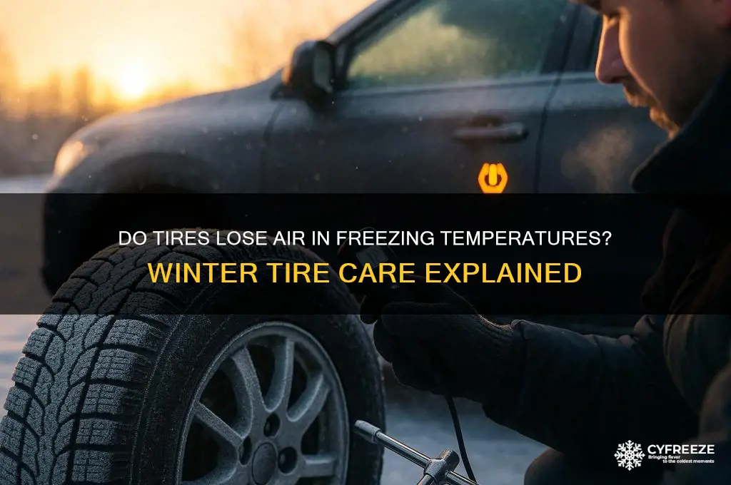 do tires loose air in freezing temperatures