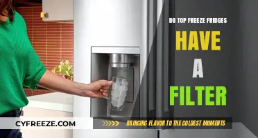 Do Top Freeze Fridges Have a Filter: A Comprehensive Guide